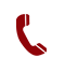 Phone icon